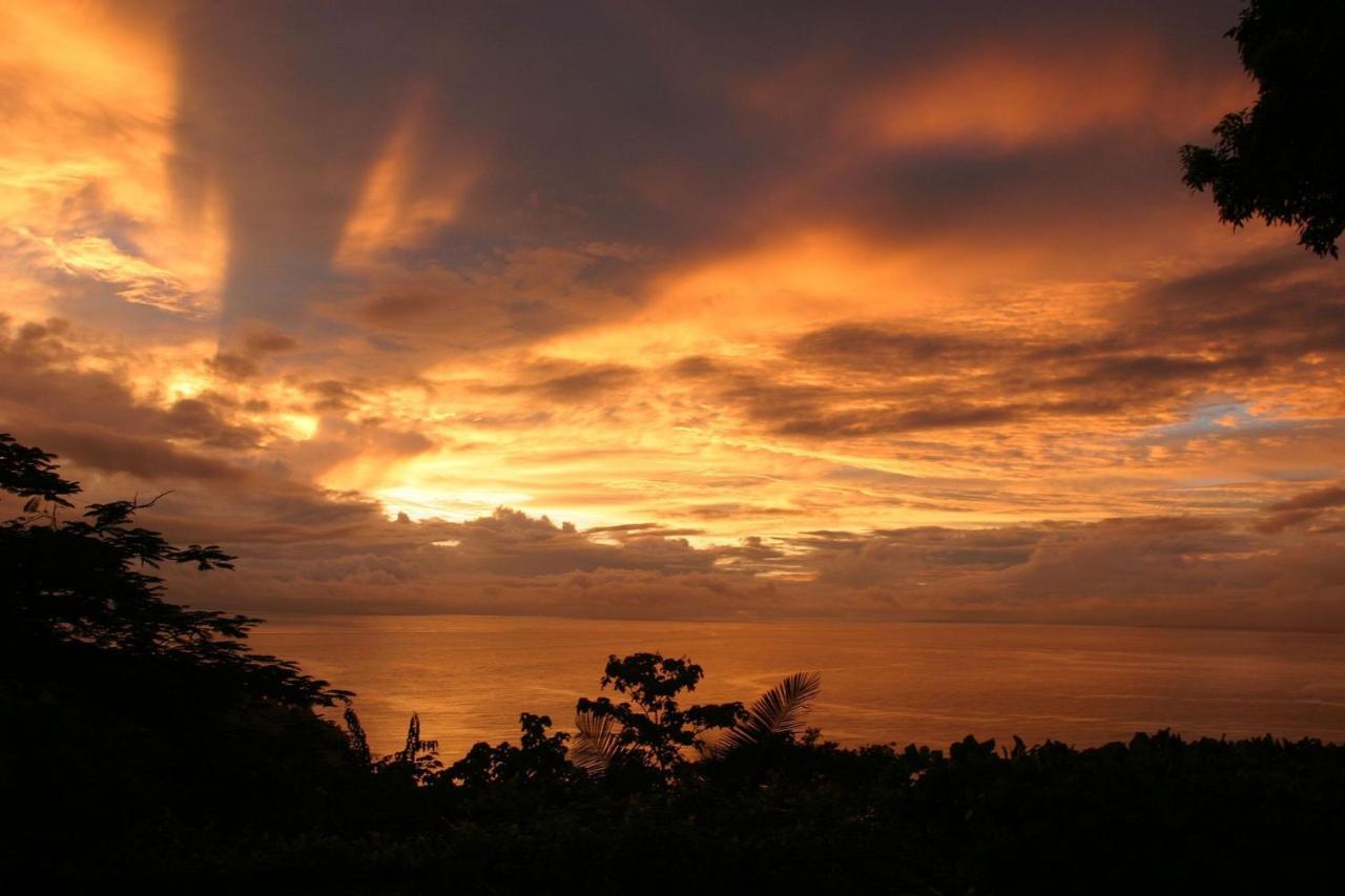 Villa Kiskadee - Beautiful Mountain Views With Private Pool Quepos Buitenkant foto