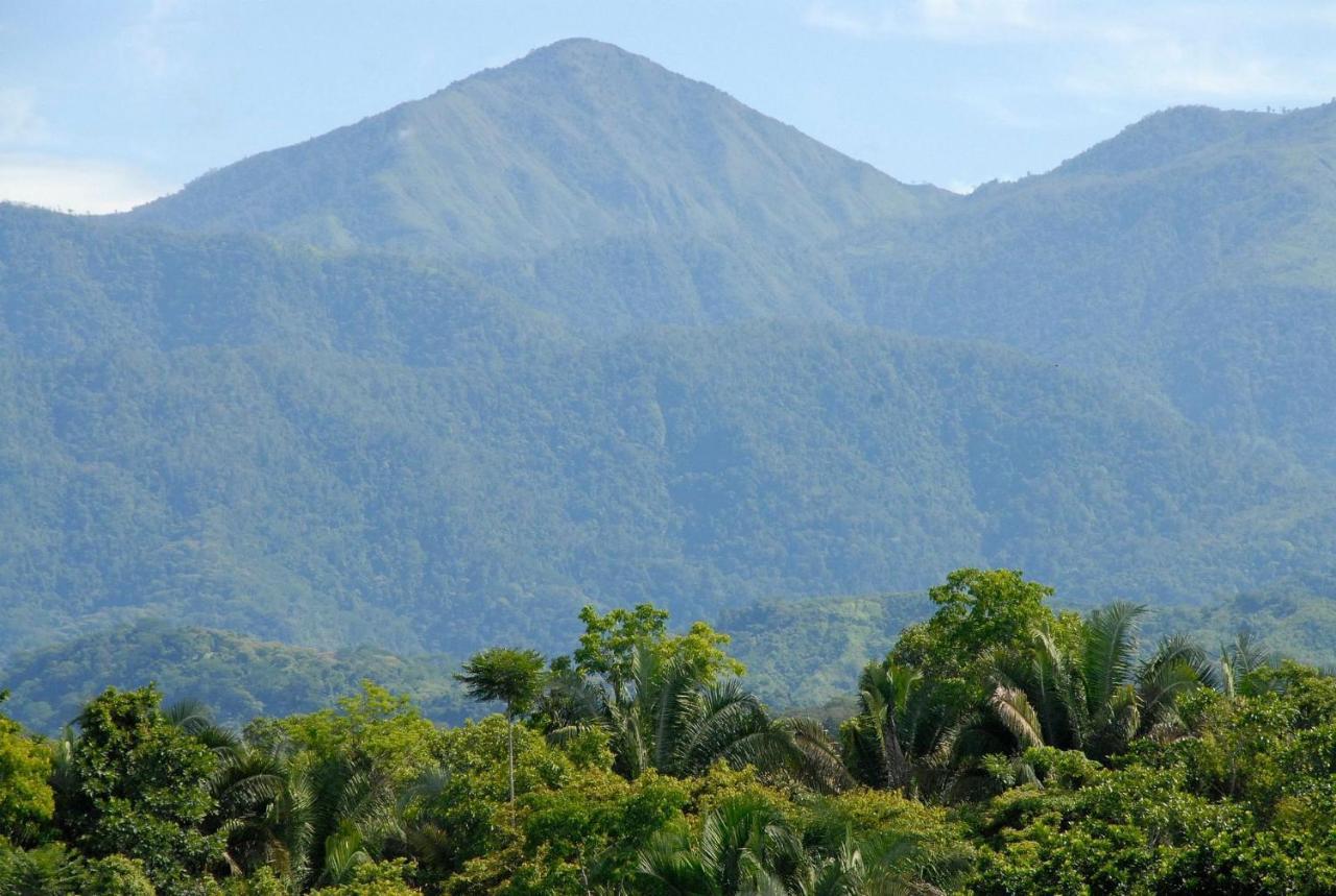 Villa Kiskadee - Beautiful Mountain Views With Private Pool Quepos Buitenkant foto